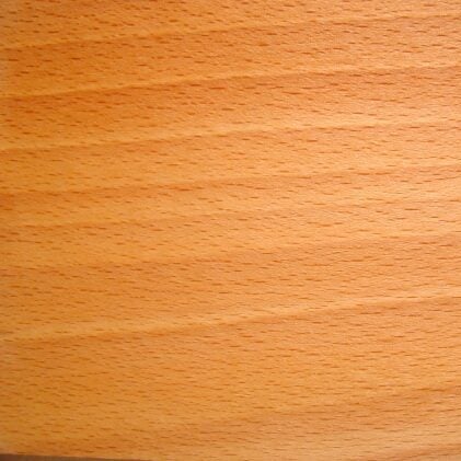 Buche Holz 1 e1742545304286 Elementor #2081