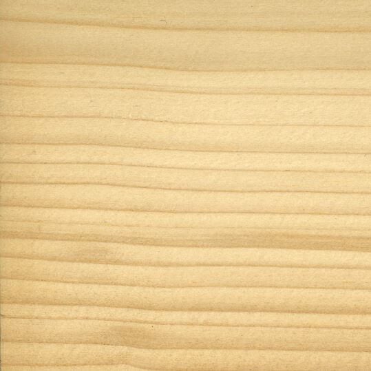 Echantillon epicea e1742543508366 Elementor #2081